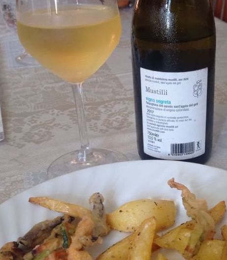 Controetichetta Vigna Segreta Falanghina del Sannio Sant'Agata dei Goti Doc 2017 Mustilli