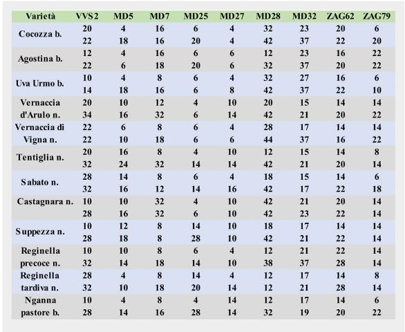 Agostinella - Profilo molecolare