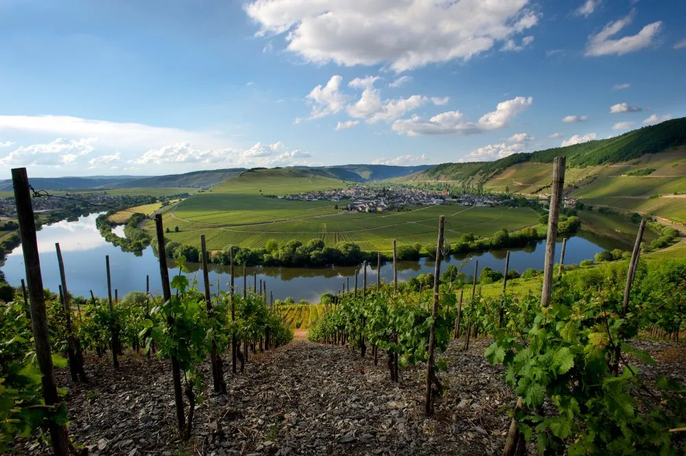 Dr. Fischer – Hofstätter Mosel CREDITS STEFANO TRIULZI