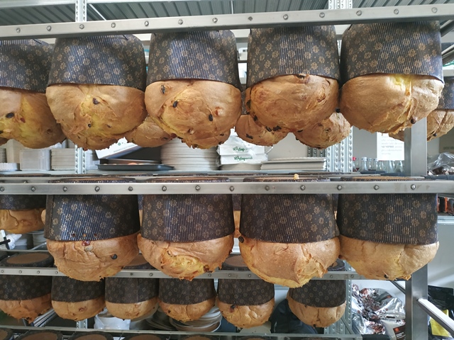 I panettoni Dolcemascolo a riposo