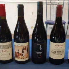 I pinot in degustazione