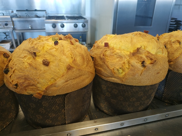 Il panettone classico Dolcemascolo