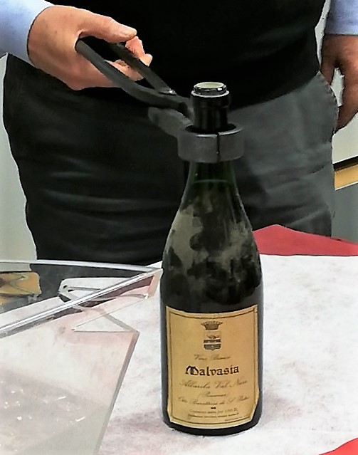 Malvasia