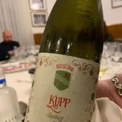 Riesling Kupp 2017 dr Fischer