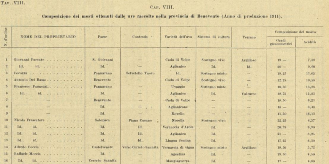 La prima fonte dell'uva agostina