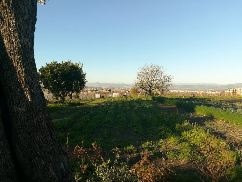 Azienda Agricola Antica Trochlea - Guardando a Valle