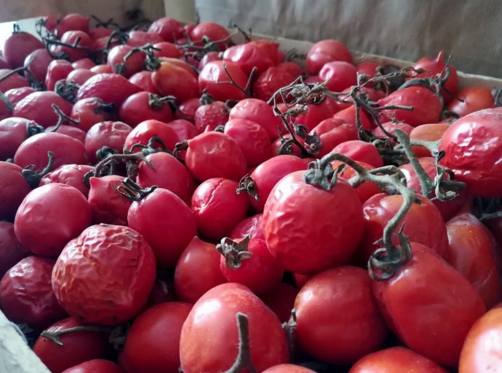 Azienda Agricola Antica Trochlea - I Pomodorini del Piennolo del Vesuvio