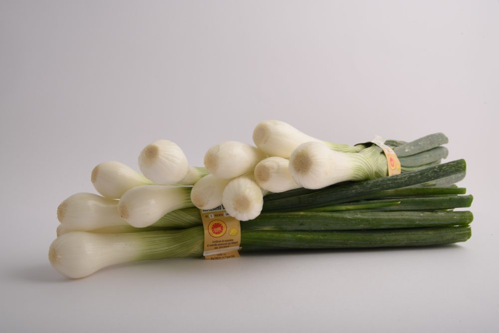 Cipollotto nocerino DOP
