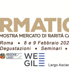 Formaticum 8- 9 febbraio Roma