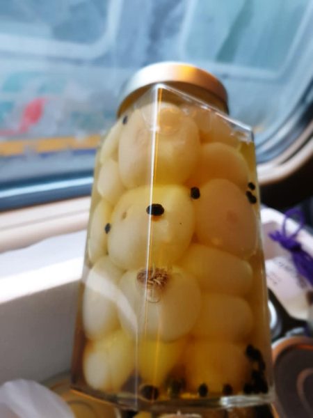 Giardiniera Fabrizio Mazzantini