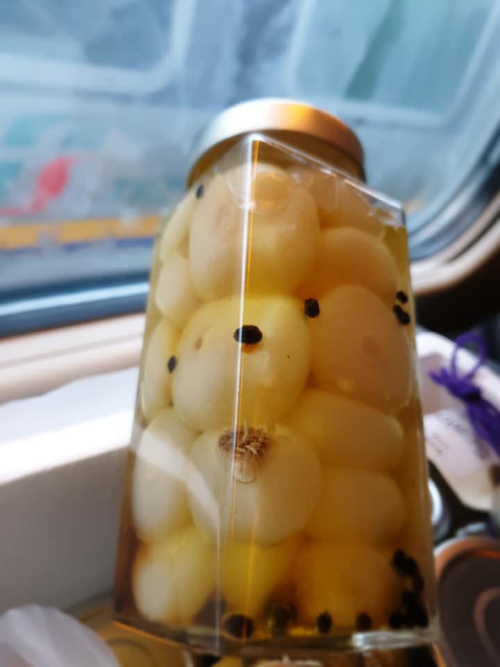 Giardiniera Fabrizio Mazzantini