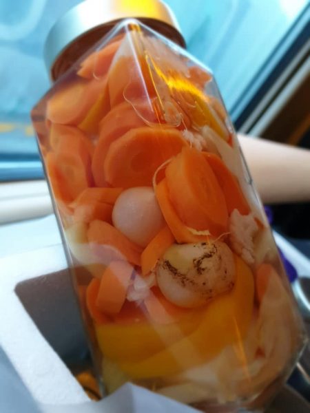 Giardiniera Fabrizio Mazzantini