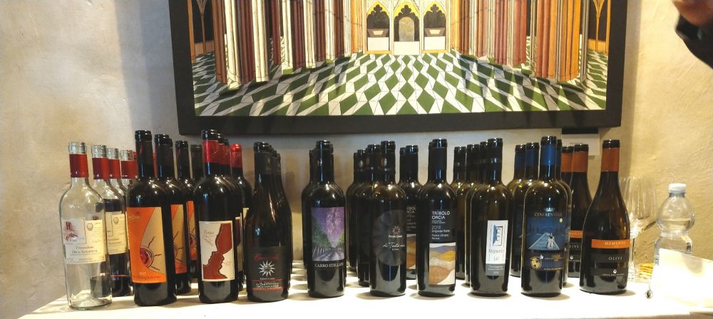 I Vini in Degustazione