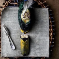 Noma, testa di germano reale