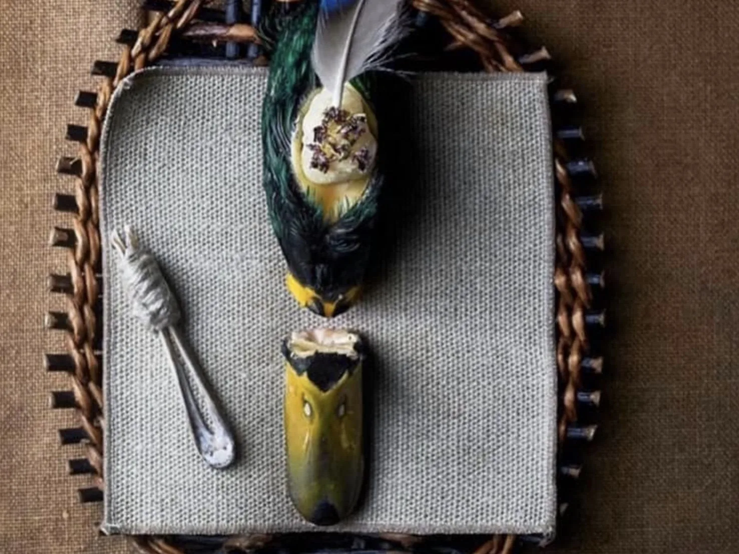 Noma, testa di germano reale