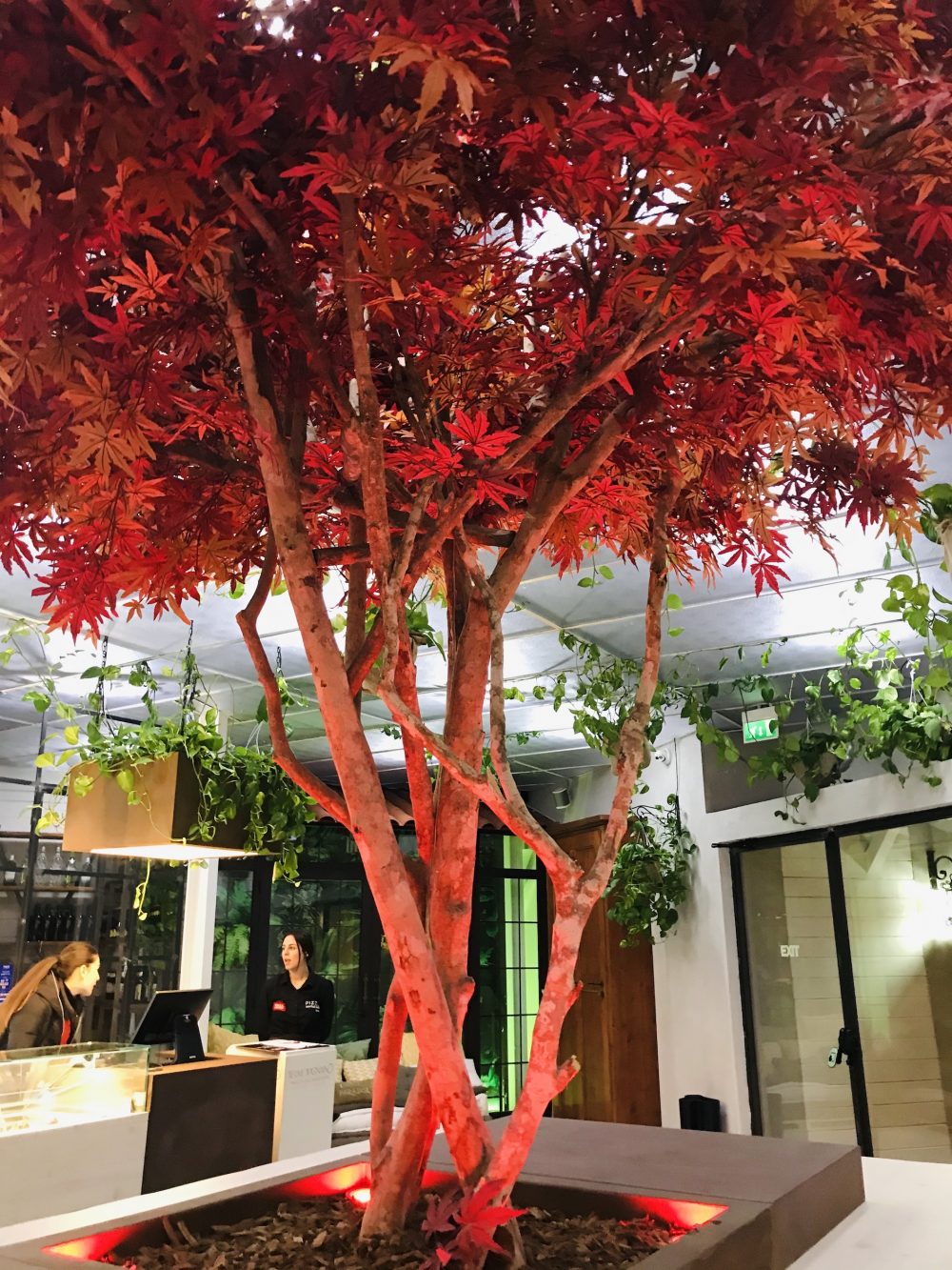 Pizza Social Lab - l’albero di acero al centro del tavolo social