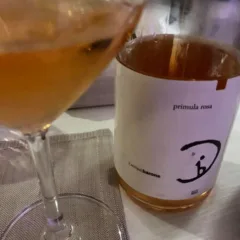 Primula rosa 2018 Paestum igp Cantine Barone
