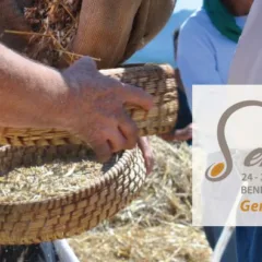 Sementia - Germogli di Comunita'