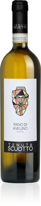 Tenuta Scuotto - fiano