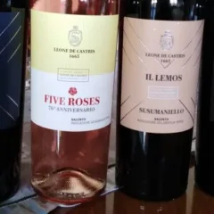 Vini Leone De Castris Nuove annate