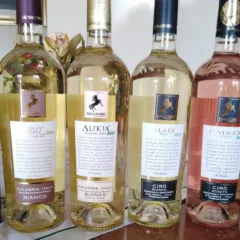 Vini Senatore Nuove annate