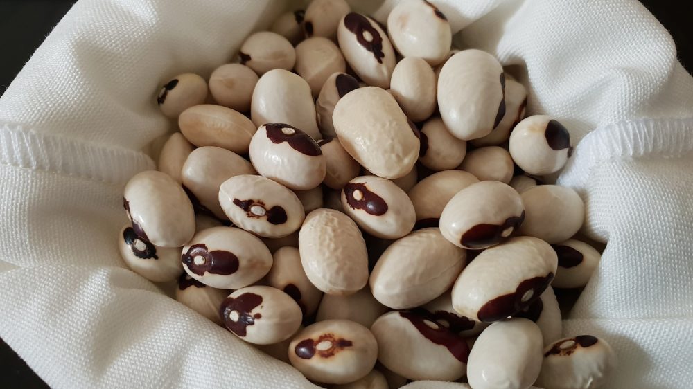 Radici di Gusto - fagioli mustacciello sacchetto