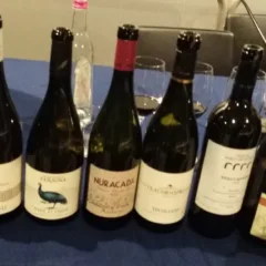 Beviamoci Sud Bottiglie di Ali di Mercurio