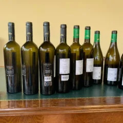 Falanghina dei Campi Flegrei 2008-2018