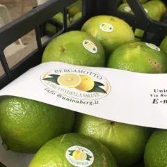 Frutto fresco di Bergamotto