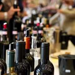 VINI D'AUTORE - TERRE D'ITALIA