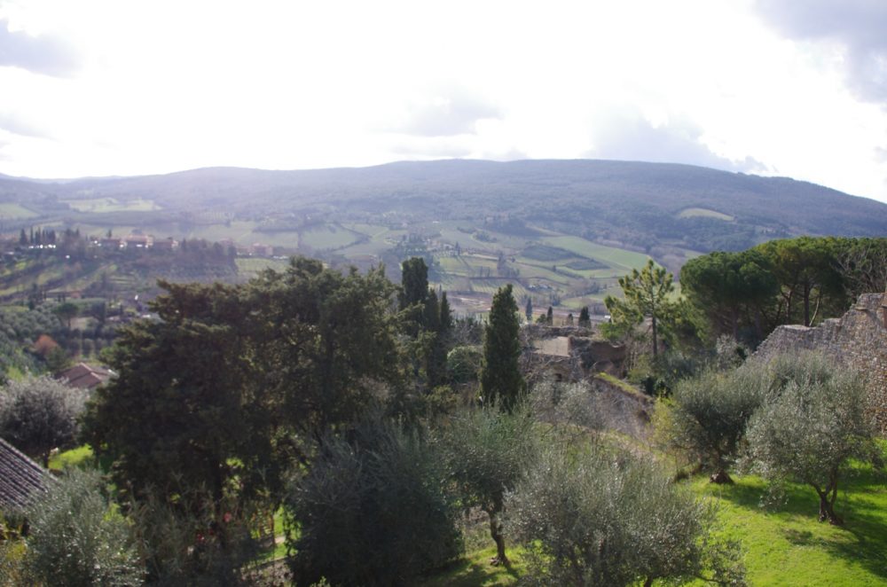 Vigneti di San Gimignano