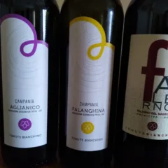 Vini Tenute Bianchino