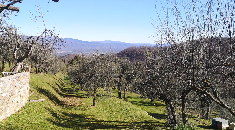 Monterotondo panorama