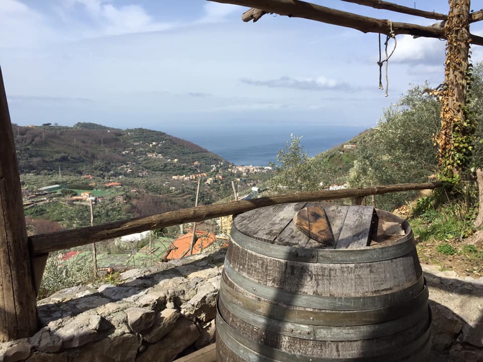 Torre Ferano, il panorama