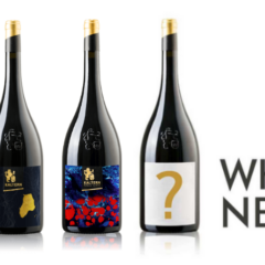 Cantina Kaltern - Artisti Emergenti Cercasi