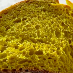 Pane volodymyr pyeshkov