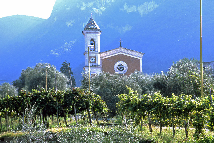 Salvatore Martusciello - vigneto sui Monti Lattari