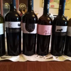 Vini Poggio alla Meta