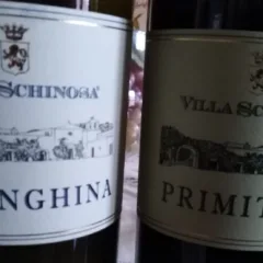Vini Villa Schinosa