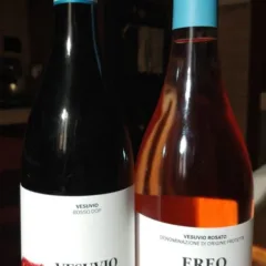 Cantine Olivella - I Nuovi Vini