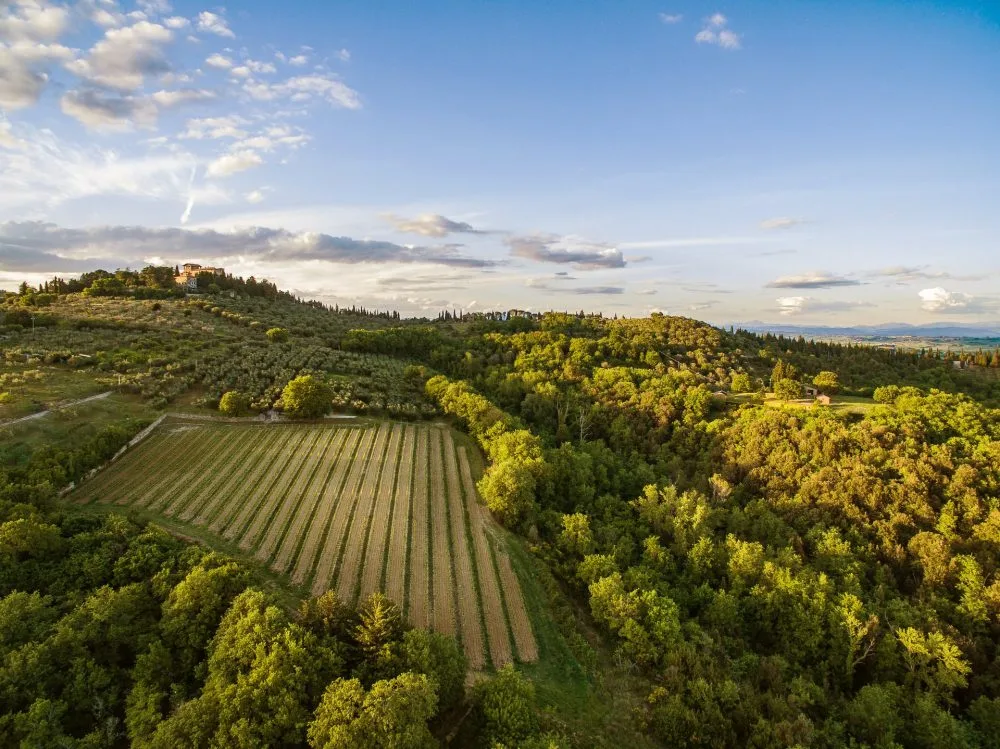 Castello Monte Vibiano