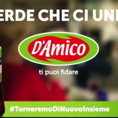 D'amico - TorneremoDiNuovoInsieme