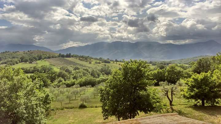 Pane e Zucchero - campi