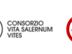 Proposte del comparto vitivinicolo campano