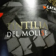 Tintilia del Molise Doc Rosso 2015, Catabbo