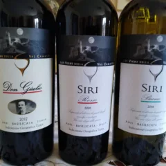 Vini Alte Vigne della Val Camastra