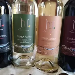 Vini Tenuta Marino
