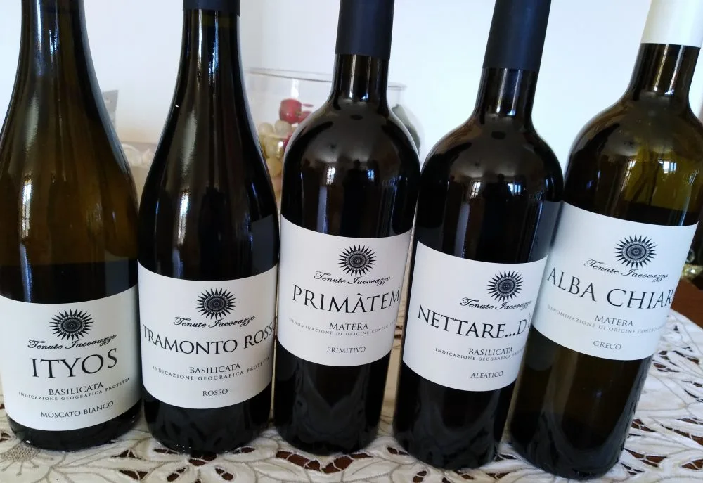 Vini Tenute Iavovazzo