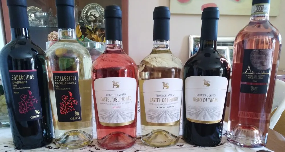 Vini Terre del Crifo