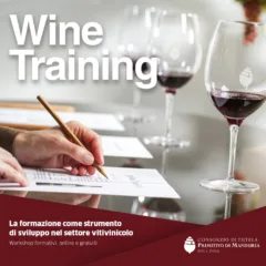 Workshop formativi del Consorzio di Tutela del Primitivo di Manduria - Wine Traning